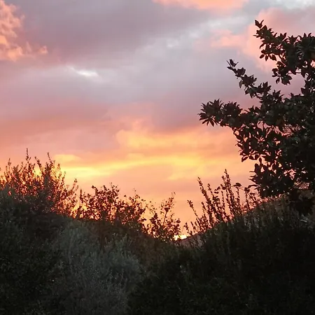 Farm stay Tenuta Vitale - Azienda Agricola Multifunzionale Montoro Inferiore