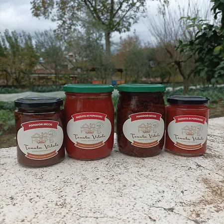 Tenuta Vitale - Azienda Agricola Multifunzionale *