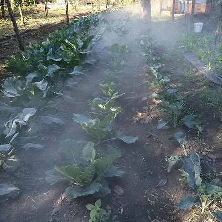 Farm stay Tenuta Vitale - Azienda Agricola Multifunzionale