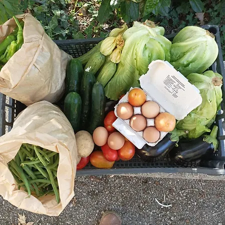 Farm stay Tenuta Vitale - Azienda Agricola Multifunzionale